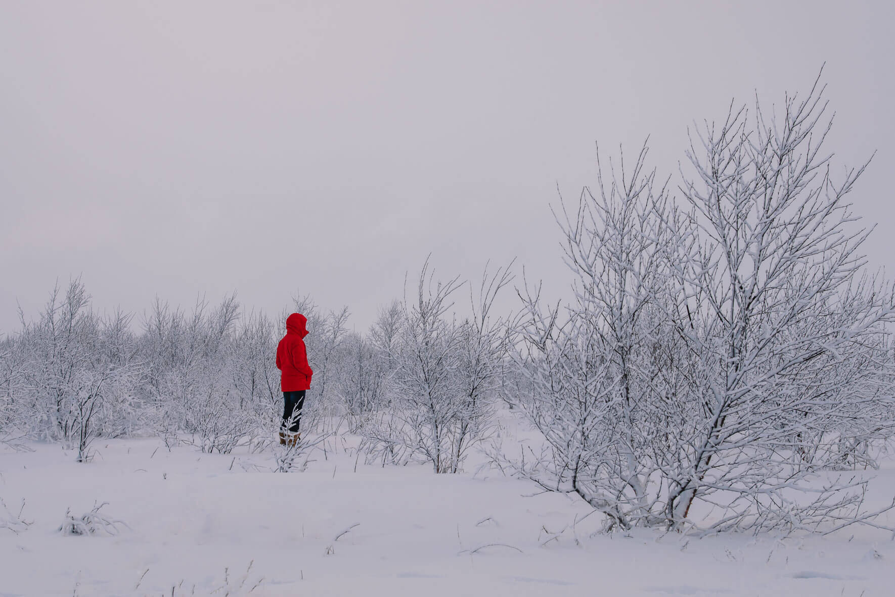 Winter fashion shooting for AETHER Apparel with small forest