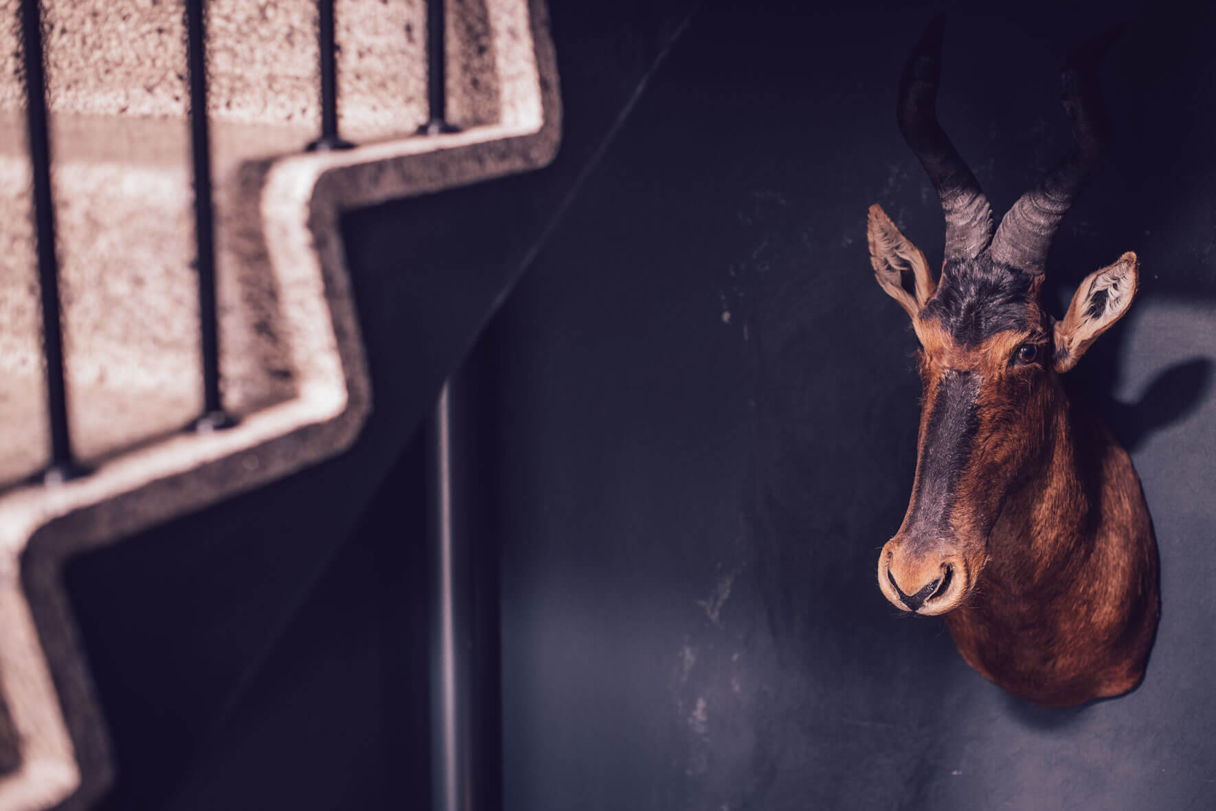 Interior details of Manon Les Suites in Copenhagen
