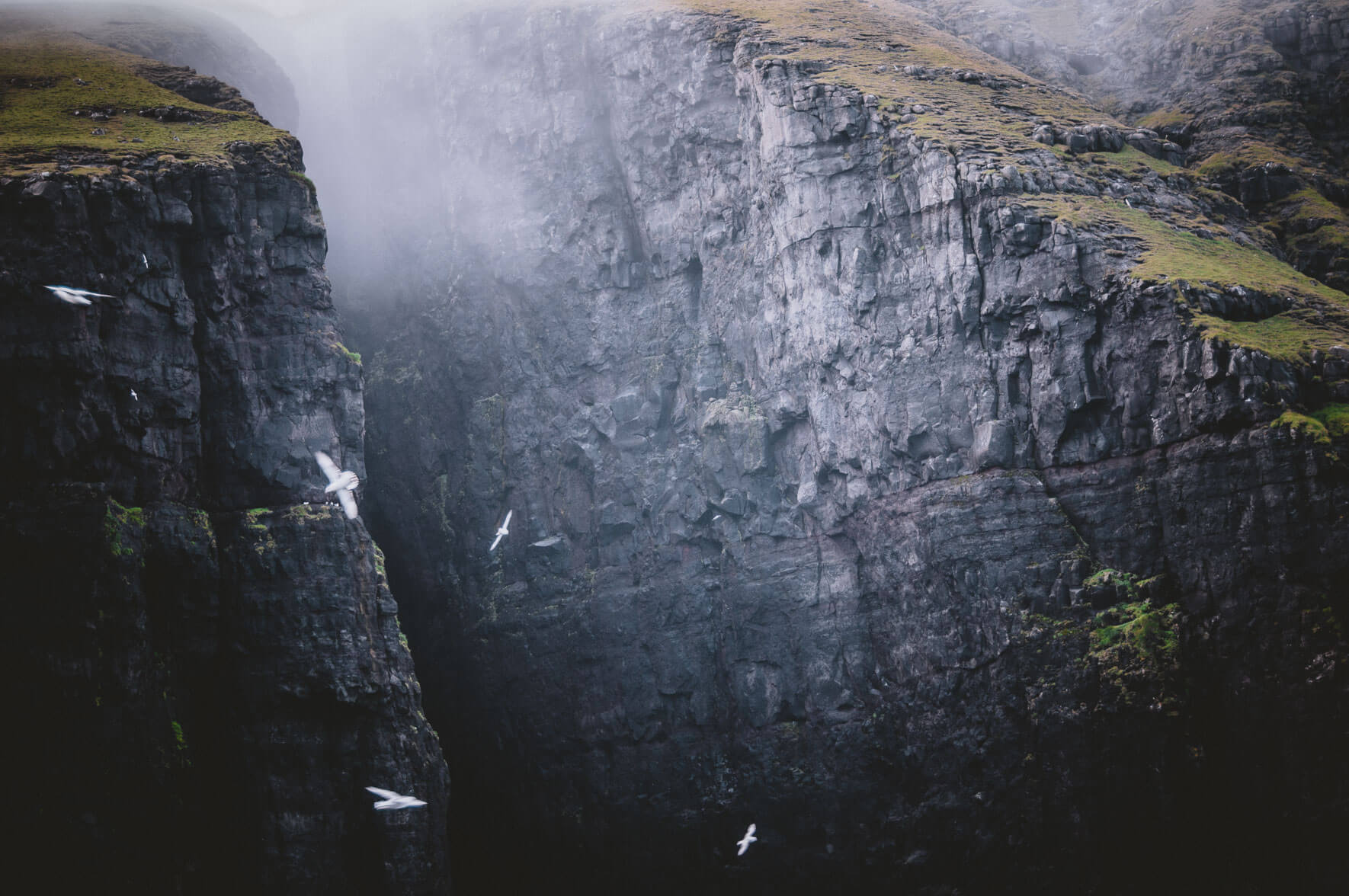 Bird cliffs of Suðuroy on the Faroe Islands