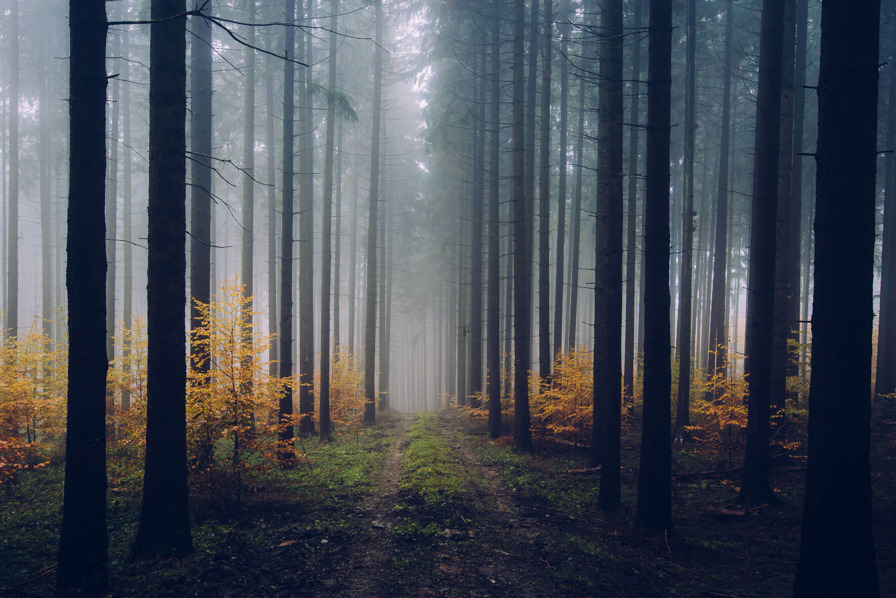 Northlandscapes – Atmospheric landscape photography of the North by Jan Erik Waider
