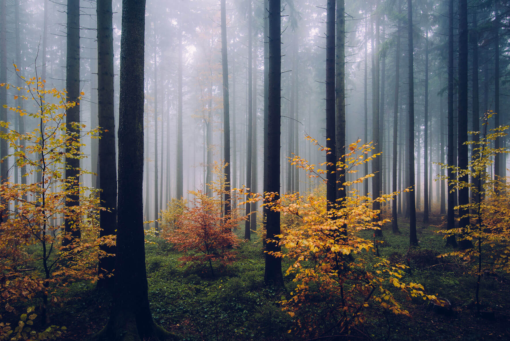 Nordic landscape and fine art photography by Northlandscapes – Jan Erik Waider