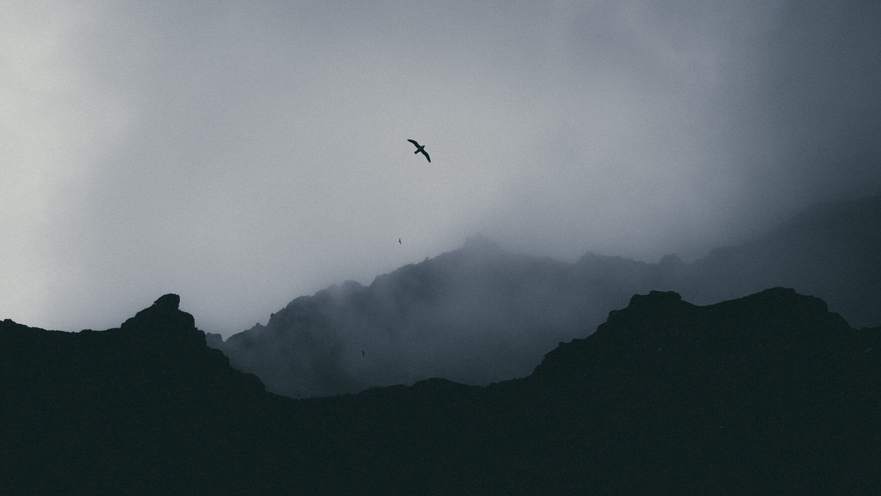 Bird cliffs and clouds in the Westfjords of Iceland