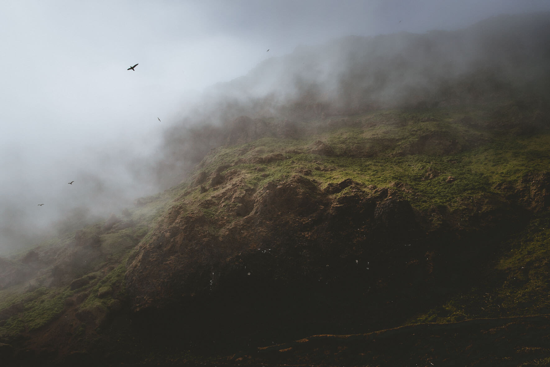 Reynisfjall mountain near Vík on the south coast Iceland