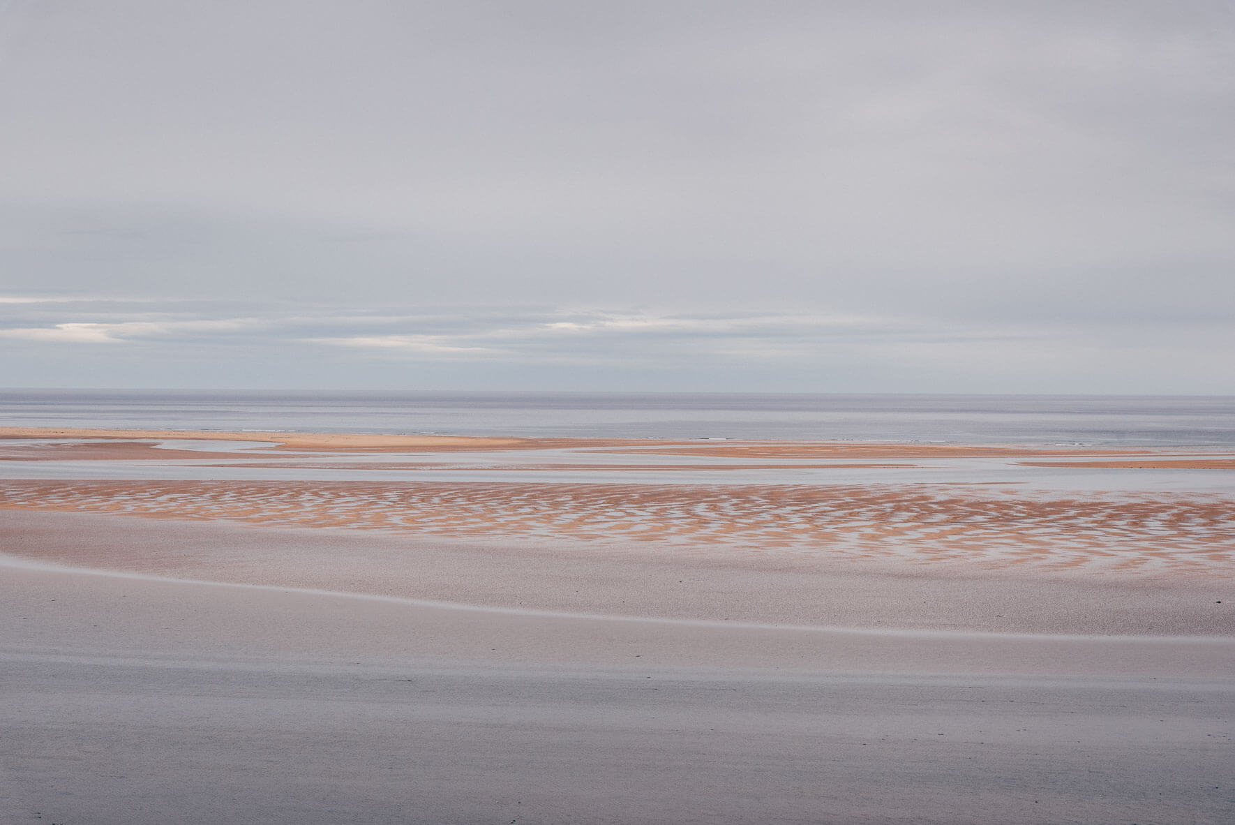 Colorful sand of Rauðasandur beach in the Westfjords of Iceland