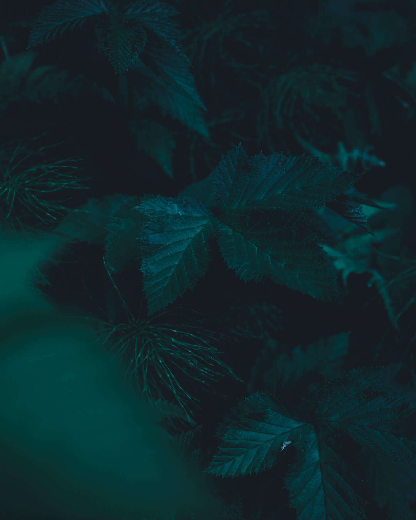 Atmospheric landscape and fine art photography of Norway by Northlandscapes - Jan Erik Waider