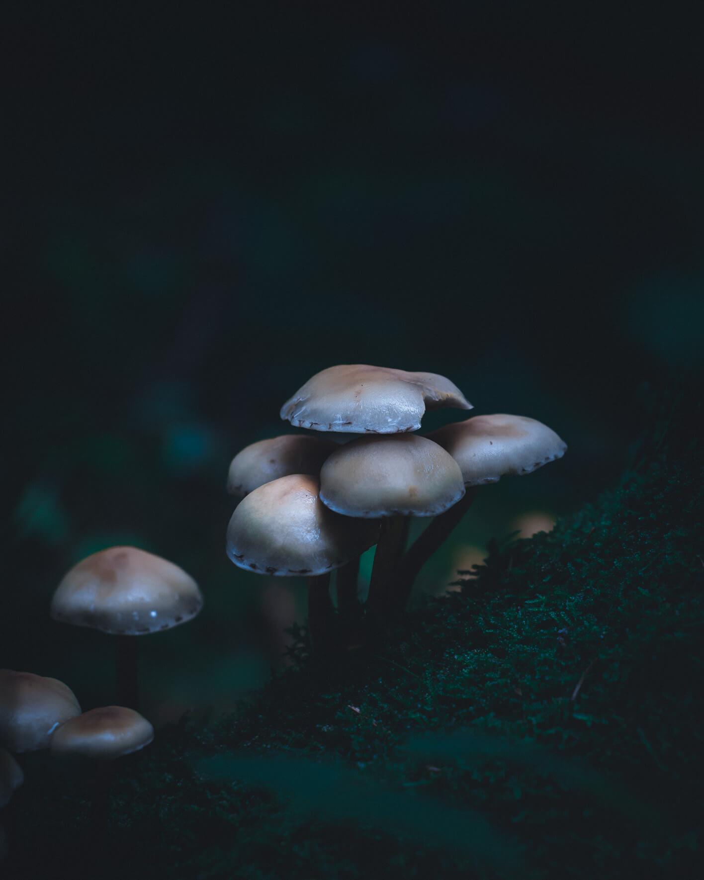 Landscape and nature photography by Northlandscapes - Jan Erik Waider